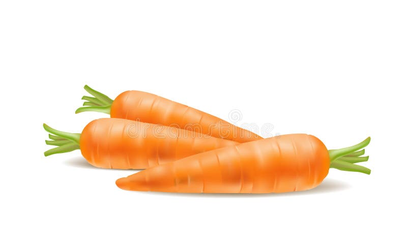 Illustrazione della carota fresca su fondo bianco royalty illustrazione gratis Illustrazione della carota fresca su fondo bianco royalty illustrazione gratis
