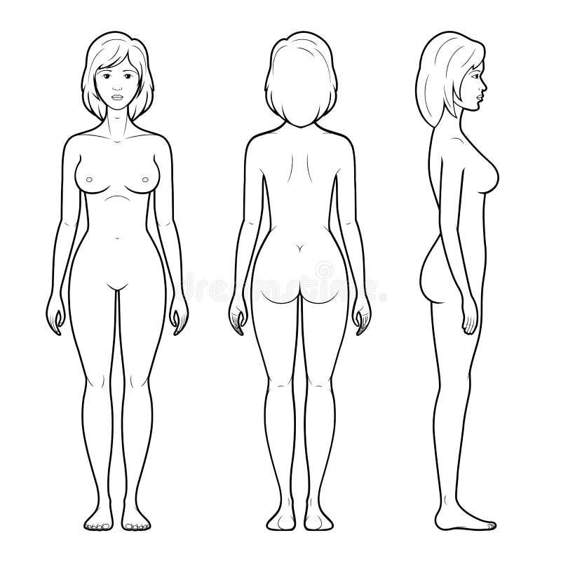 Illustrazione 4 della figura femminile