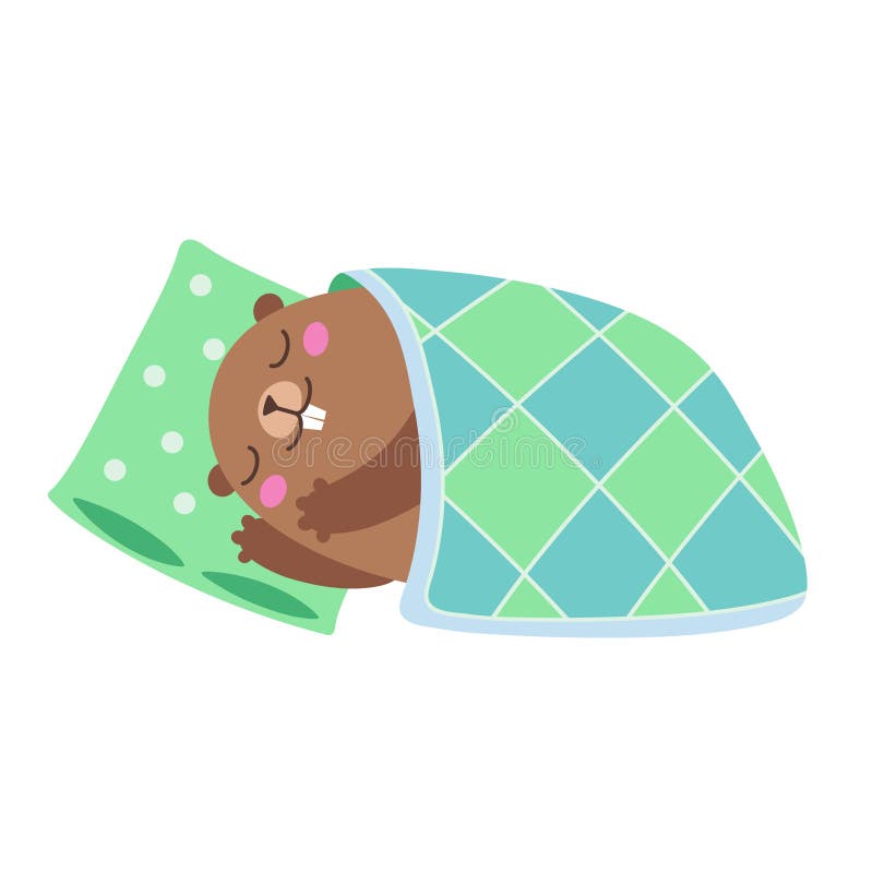 Illustrazione della marmotta che dorme sotto una coperta piano illustrazione vettoriale Illustrazione della marmotta che dorme sotto una coperta piano illustrazione vettoriale