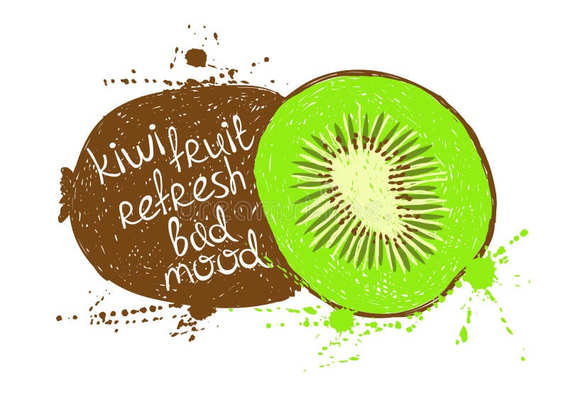 Illustrazione della siluetta marrone verde isolata del kiwi illustrazione di stock