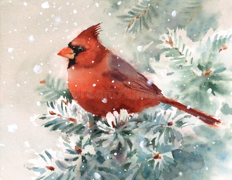 Illustrazione di Bird Watercolor Winter del cardinale disegnata a mano