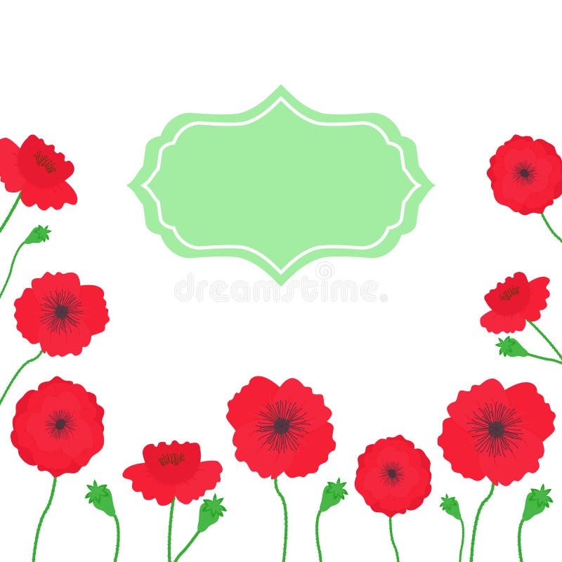 Illustrazione di estate di vettore con i fiori dei papaveri con il posto per testo su fondo bianco illustrazione vettoriale Illustrazione di estate di vettore con i fiori dei papaveri con il posto per testo su fondo bianco illustrazione vettoriale