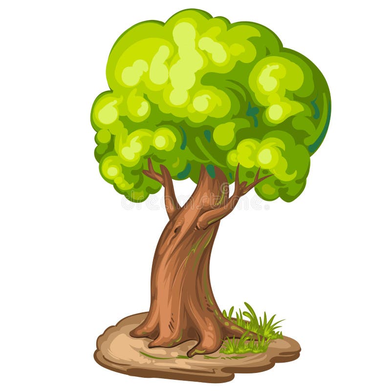 Illustrazione di un albero del primo piano illustrazione vettoriale Illustrazione di un albero del primo piano illustrazione vettoriale