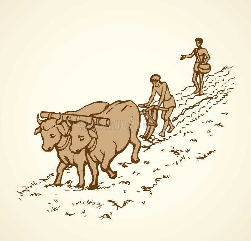 Illustrazione di vettore Agricoltura primitiva Campo trattato contadini