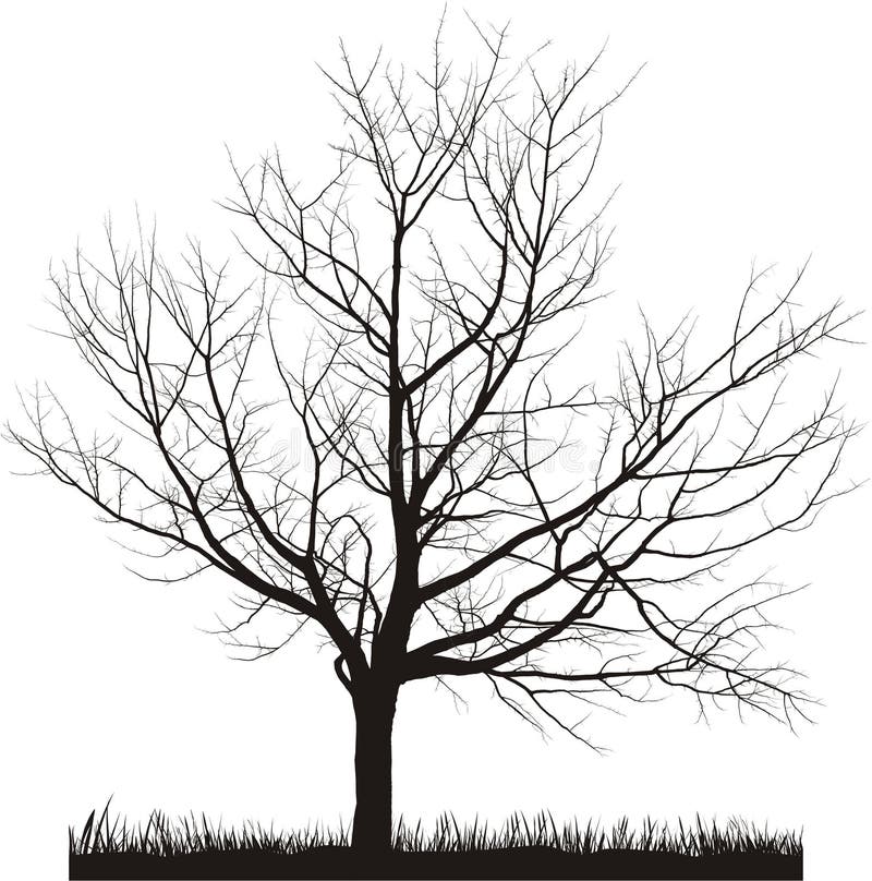 Illustrazione di vettore del ciliegio in inverno royalty illustrazione gratis Illustrazione di vettore del ciliegio in inverno royalty illustrazione gratis