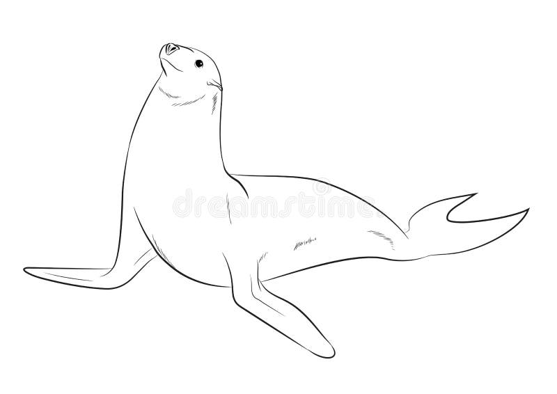 Illustrazione di vettore del disegno del pesce della guarnizione royalty illustrazione gratis Illustrazione di vettore del disegno del pesce della guarnizione royalty illustrazione gratis