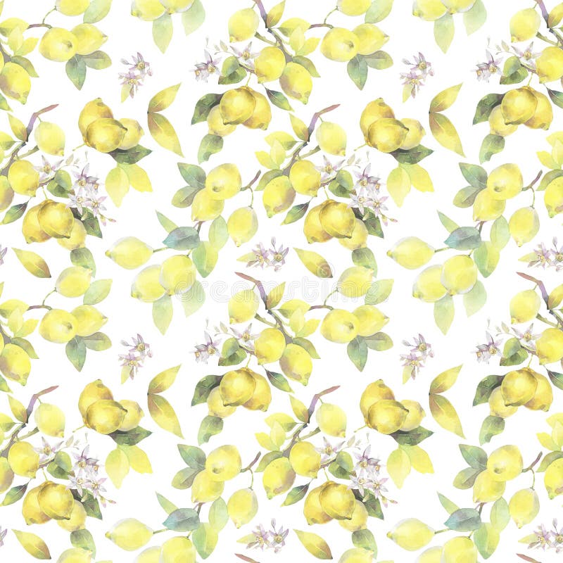 Illustrazione dipinta a mano dell'acquerello modello senza cuciture con gli elementi del ramo di limone royalty illustrazione gratis Illustrazione dipinta a mano dell'acquerello modello senza cuciture con gli elementi del ramo di limone royalty illustrazione gratis