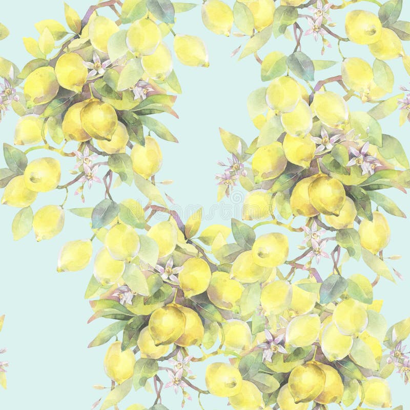 Illustrazione dipinta a mano dell'acquerello modello senza cuciture con gli elementi del ramo di limone illustrazione vettoriale Illustrazione dipinta a mano dell'acquerello modello senza cuciture con gli elementi del ramo di limone illustrazione vettoriale