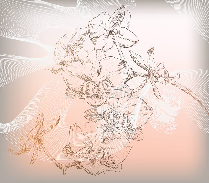 Illustrazione floreale di vettore dei fiori variopinti illustrazione vettoriale Illustrazione floreale di vettore dei fiori variopinti illustrazione vettoriale