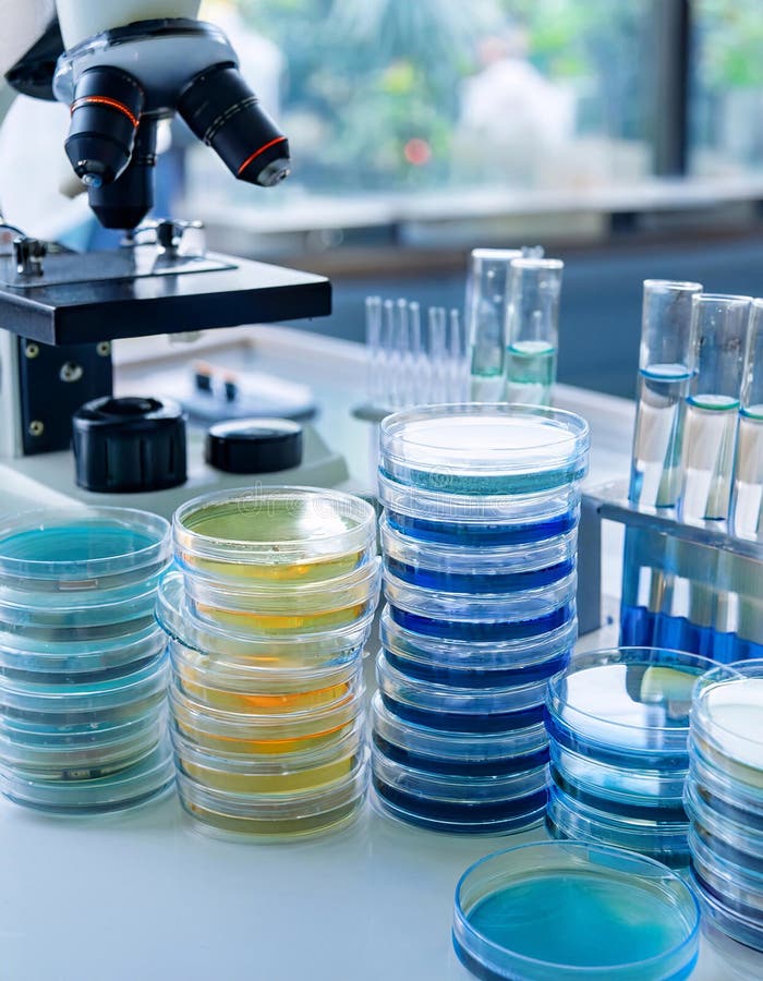 Illustrazione futuristica di un laboratorio scientifico con piastre di Petri a microscopio e tubi di prova illustrazione vettoriale