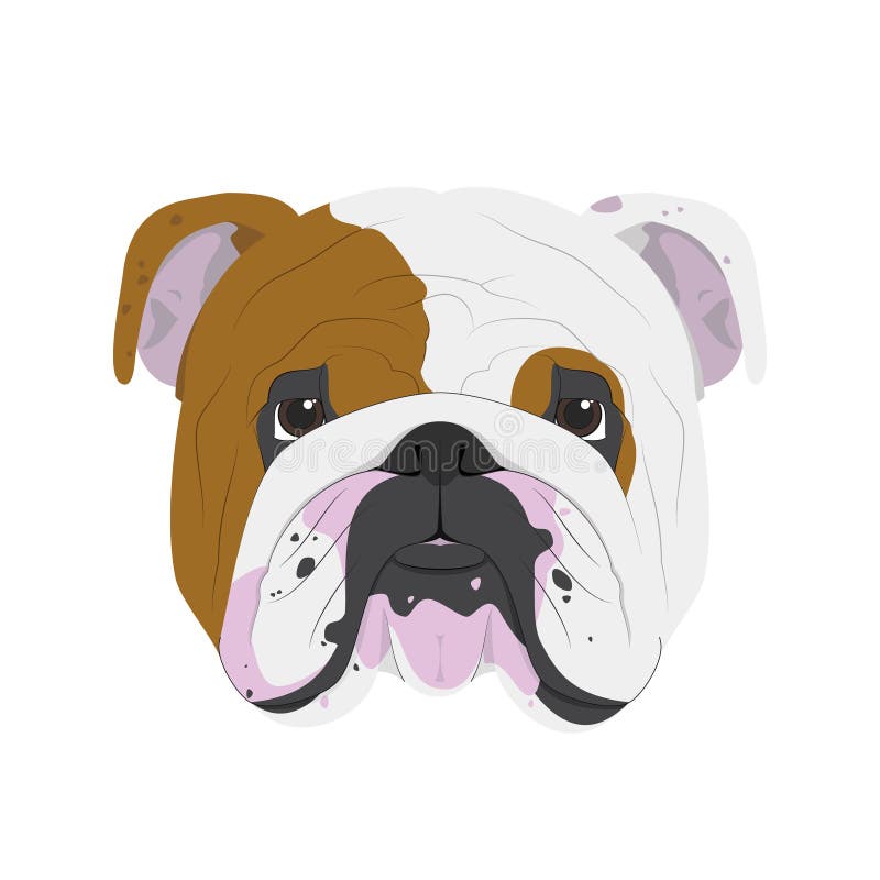 Illustrazione inglese di vettore del cane del bulldog