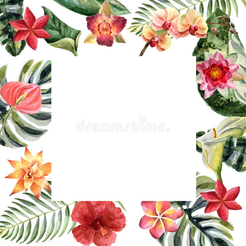 Illustrazione luminosa di estate dell'acquerello con i fiori tropicali illustrazione di stock Illustrazione luminosa di estate dell'acquerello con i fiori tropicali illustrazione di stock