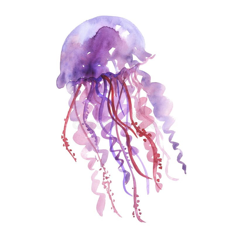 Illustrazione porpora isolata dell'acquerello delle meduse illustrazione di stock Illustrazione porpora isolata dell'acquerello delle meduse illustrazione di stock
