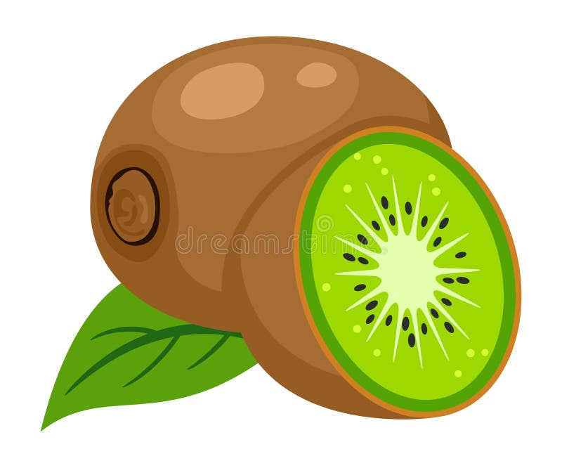 Illustrazione vettoriale del kiwi illustrazione vettoriale