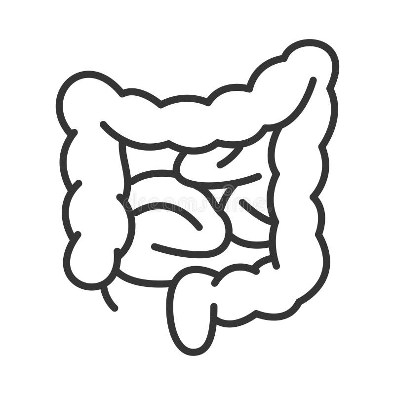 Illustrazione vettoriale dell'icona della linea dello stomaco umano. intestini del tubo digerente con logo monocromatico royalty illustrazione gratis
