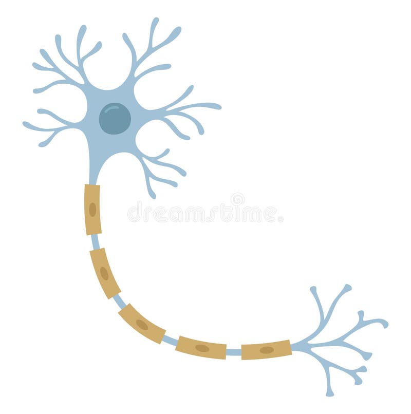 Illustrazione vettoriale della cellula neuronale illustrazione vettoriale