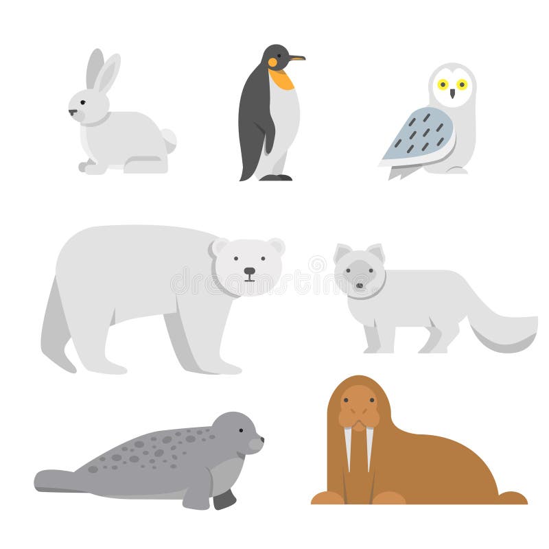Illustrazioni di vettore degli animali artici della neve