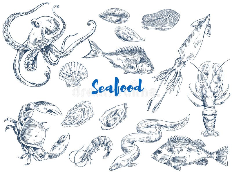 Illustrazioni monocromatiche di schizzo dei frutti di mare esotici messe illustrazione vettoriale Illustrazioni monocromatiche di schizzo dei frutti di mare esotici messe illustrazione vettoriale