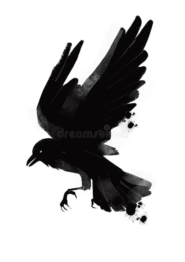 Illutration Del Cuervo Negro Del Pájaro En Tinta Gótica Del Estilo Stock de  ilustración - Ilustración de cubo, mirlo: 113805568