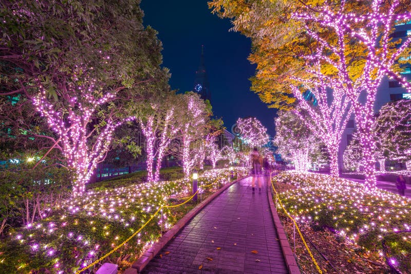 Iluminación del invierno en Tokio, Japón foto de archivo Iluminación del invierno en Tokio, Japón foto de archivo