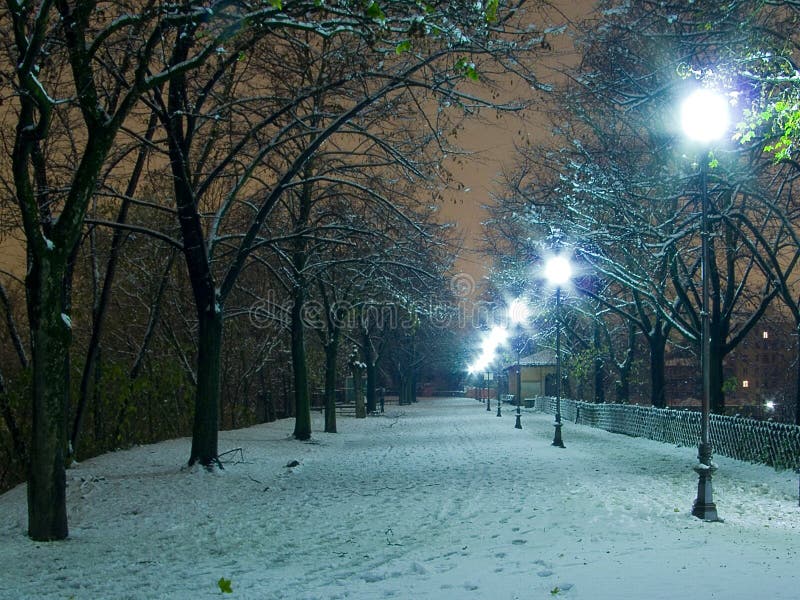 Iluminujący noc parc śnieg
