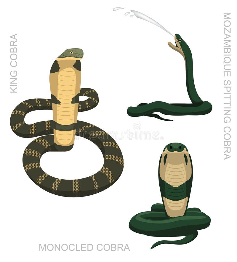 Serpente Da Cobra Dos Desenhos Animados Ilustração do Vetor