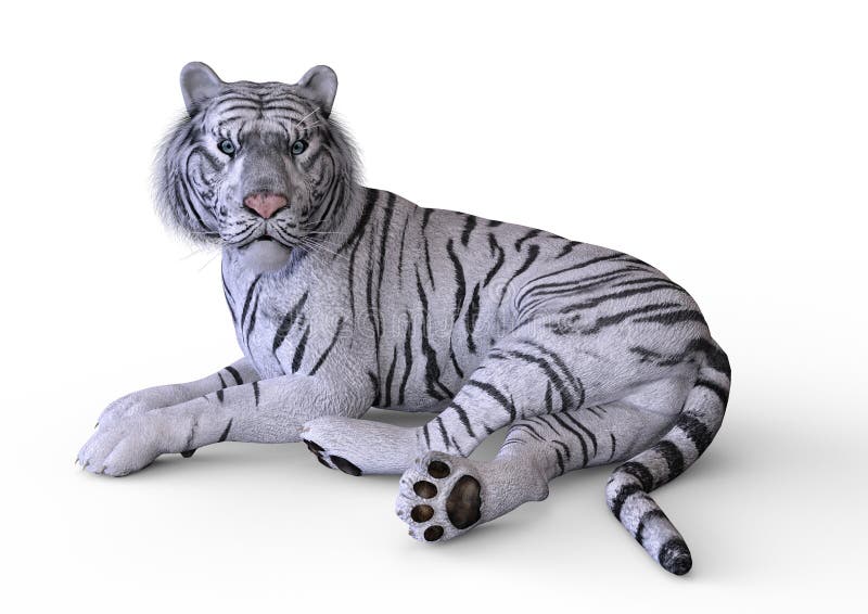 Tigre branco Modelo 3d