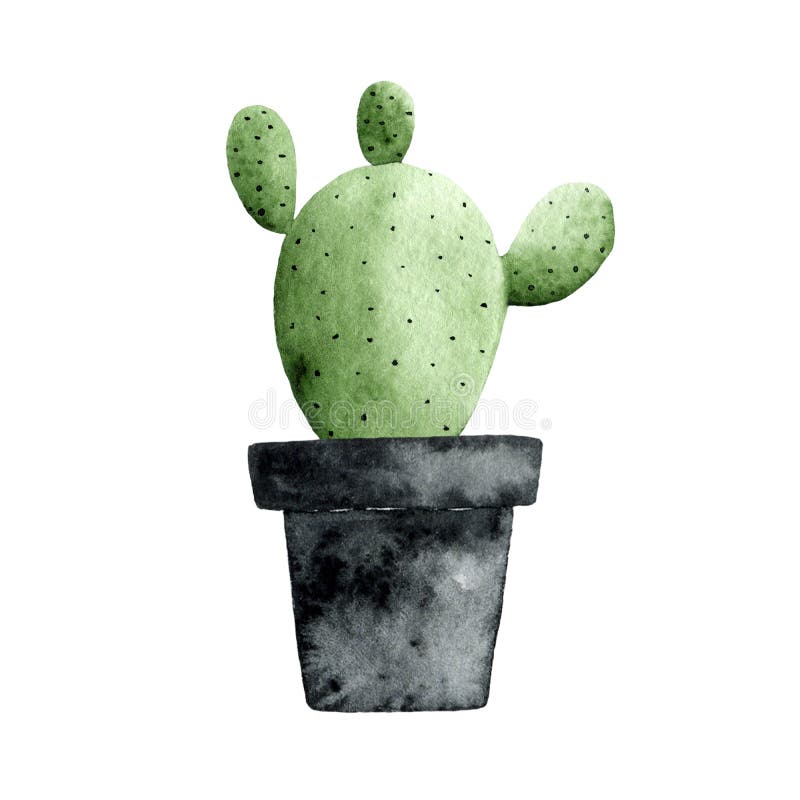 Cactus casa natureza vetor ilustração de planta verde árvore cactácea com  flor imagem vetorial de vectordreamsmachine© 190081290