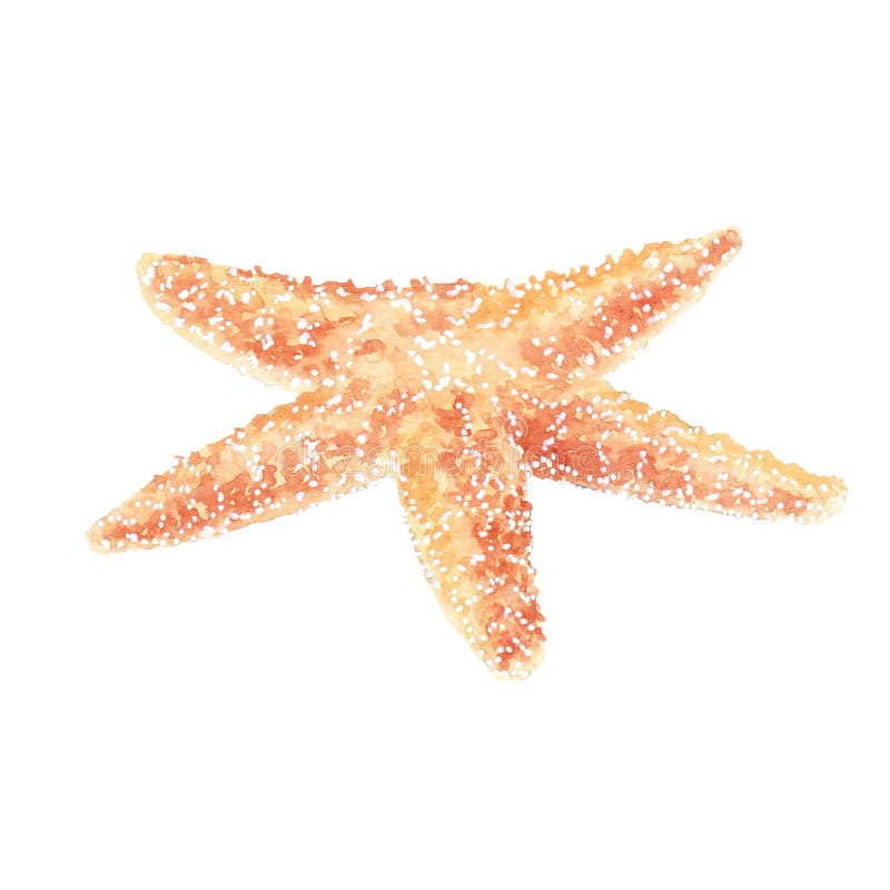 Aquarela Marinheiro E Sereira Apaixonada Cercada Por Ondas Doodle, Estrela Do Mar, Concha. Caráteres Marinhos Bonitos. Amoroso Casal. Ilustração De Desenhos Animados Marinhos Pintados À Mão Fotos, retratos, imágenes y fotografía de