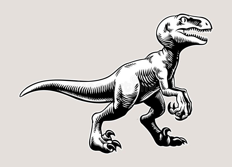 Página 5, Vetores e ilustrações de T rex dinossauro png para download  gratuito