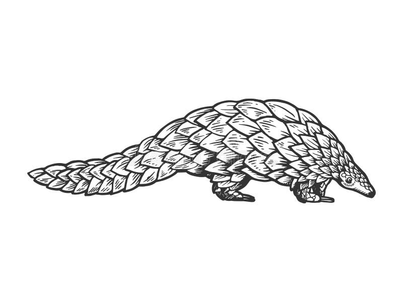 Vetores de Conjunto De Animais Dos Desenhos Animados Para Colorir Livro e  mais imagens de Pangolin - iStock