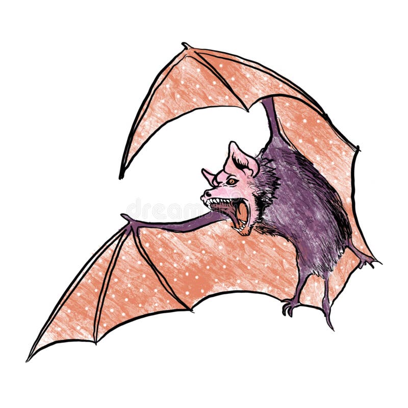 Morcego De Halloween Para Design Ilustração do Vetor - Ilustração de céu,  arte: 178760206