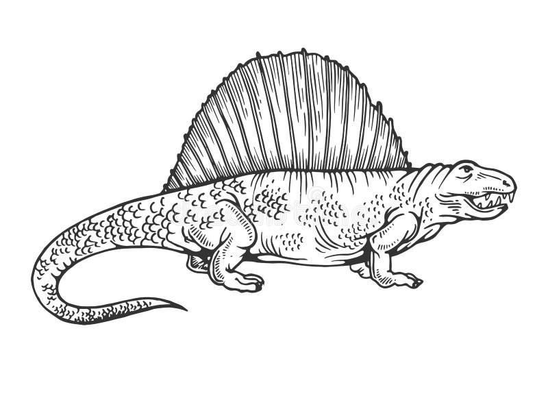 Dimetrodon Dinossauro Caçador Do Período Jurássico. Placa De Barbatana Nas  Costas. Pangolim Pré-histórico Antigo No Fundo De Uma Paisagem Rochosa.  Ilustração De Desenho Animado Foto Royalty Free, Gravuras, Imagens e Banco  de