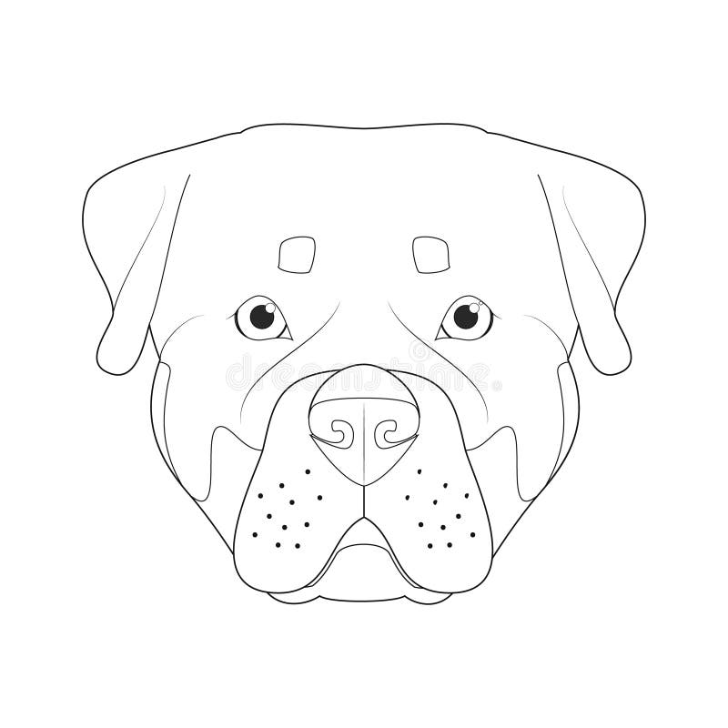 desenho de cachorro rottweiler para colorir para crianças 7819199 Vetor no  Vecteezy