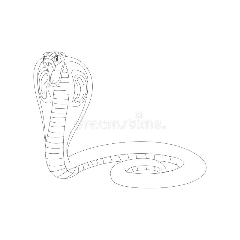 Desenho de cobra  Desenho Para Desenhar