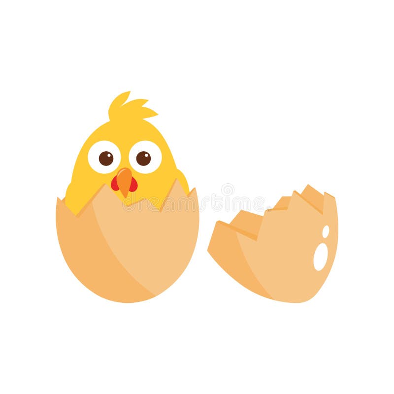 galinha nascida do ovo. filhote nascido de ovo, ícone de galinha amarela,  estilo simples. tema avicultura. Feliz Páscoa. ilustração vetorial dos  desenhos animados isolada no fundo branco. 5391056 Vetor no Vecteezy