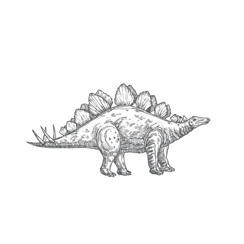 fofa dinossauros vetor definir. mão desenhado rabisco triceratops,  estegossauro, tiranossauro, diplodoco, pterossauro. dinossauro quadrinho  personagem Projeto para crianças, imprimir, roupas, poster, Educação,  edutainment. 20480208 Vetor no Vecteezy