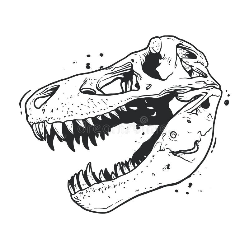 Design PNG E SVG De Recorte Anatômico De Um Desenho Animado De Dinossauro  Para Camisetas