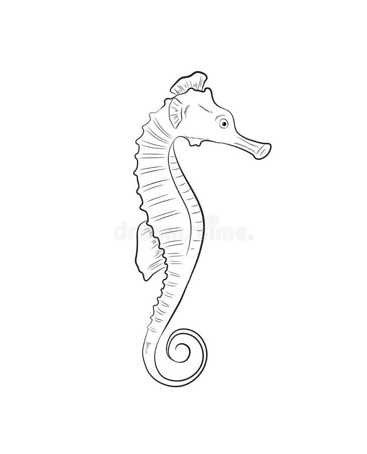 Como Desenhar um CAVALO-MARINHO, how to draw a seahorse