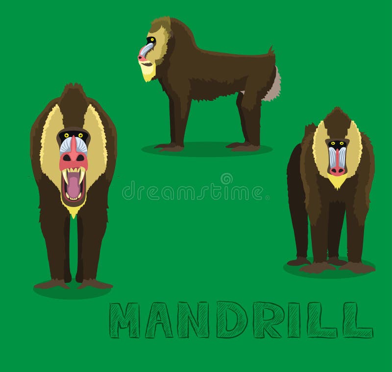 Ilustração Primata Macaco PNG - Imagens PNG - Monkey PNG