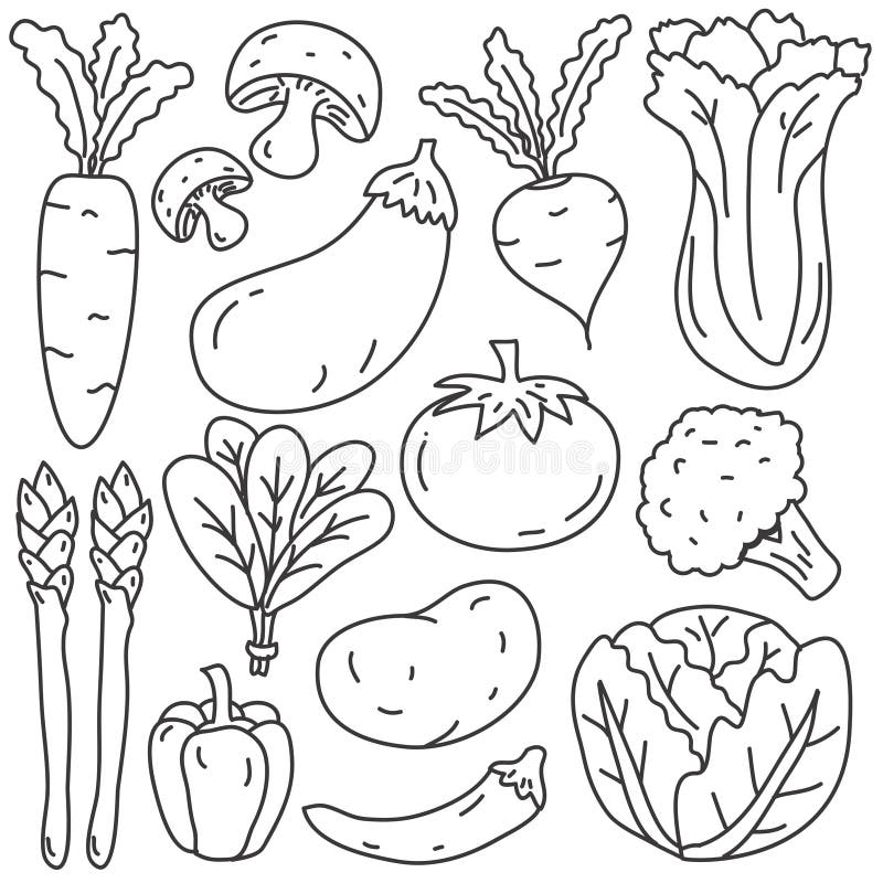 Ícone Dos Vegetais Dos Desenhos Animados Ilustração Stock - Ilustração de  objeto, projeto: 17881963