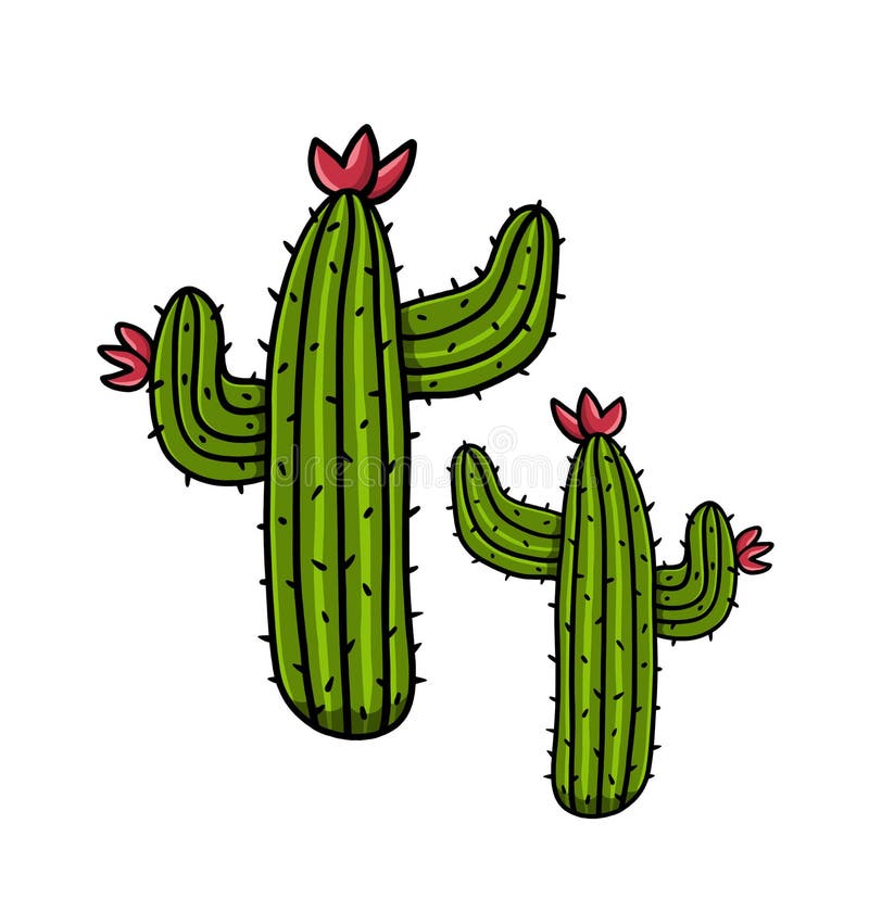 Cactos Em Um Potenciômetro De Flor Planta Da Casa - Cacto Imagem Linear Dos  Cactos Para Colorir Ilustração do Vetor - Ilustração de flor,  potenciômetros: 136493211