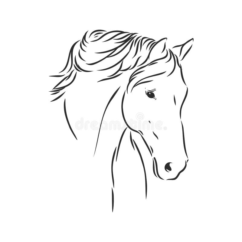 Ilustração Vetorial De Um Retrato Realista De Cabeça De Cavalo