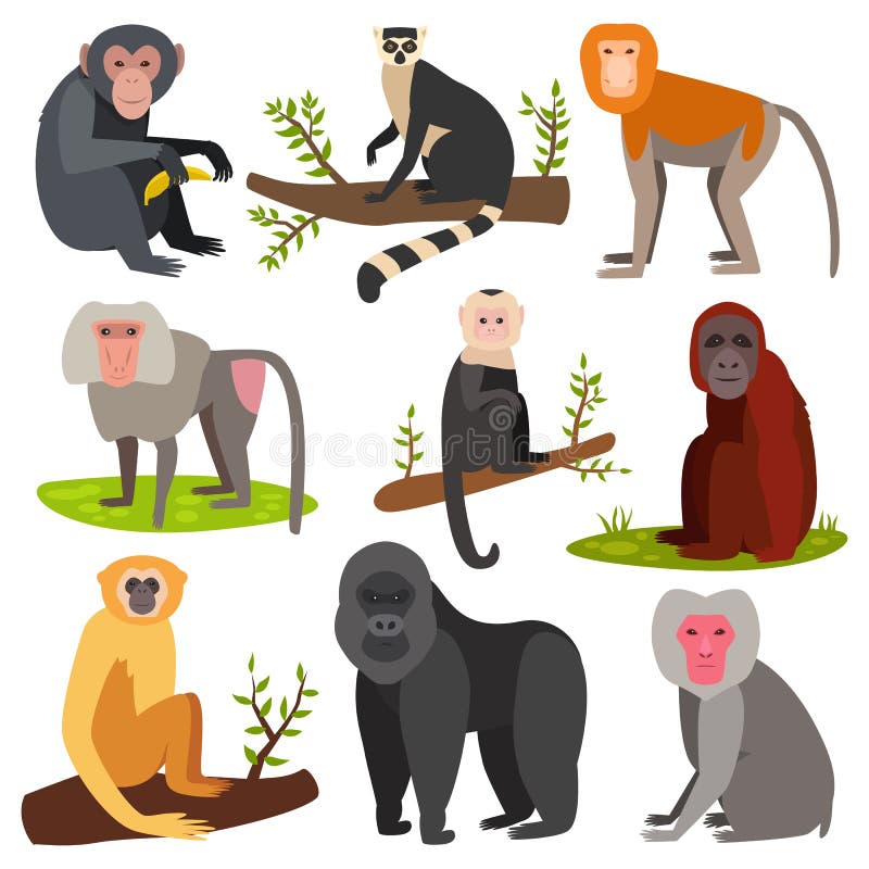 macaco vetor logotipo simples realista natureza primata África gorila sagui  chimpanzé arte desenhando ilustração selvagem animal 28335824 Vetor no  Vecteezy