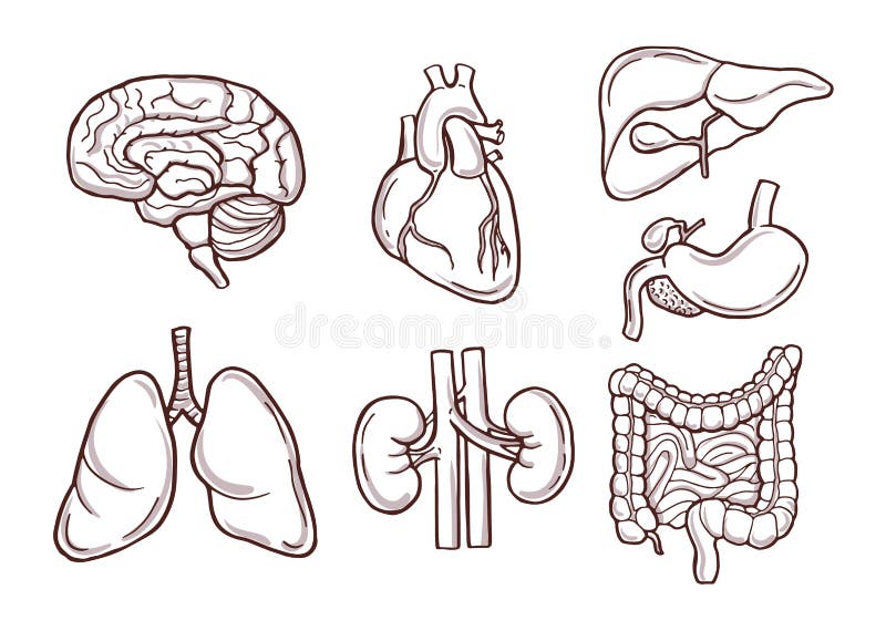 Ferramentas médicas e padrão de elementos médicos cartoon desenhado à mão  cartoon art illustration, Vetor Grátis