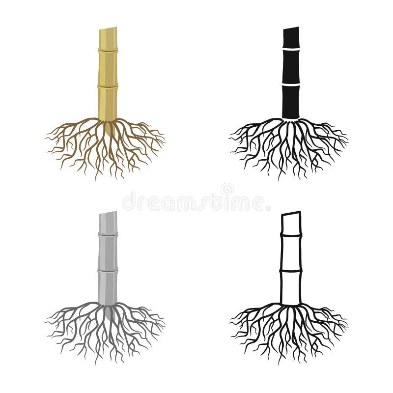 Objeto Isolado Do ícone Raiz E Planta. Gráfico Do ícone Do Vetor