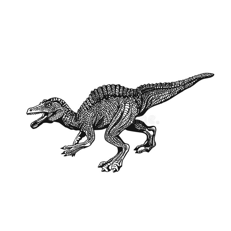 Personagem de desenho animado do espinossauro animal pré-histórico  dinossauro azul gigante com espinhos verdes nas costas elemento vetorial  plano para jogo para celular ou enciclopédia infantil