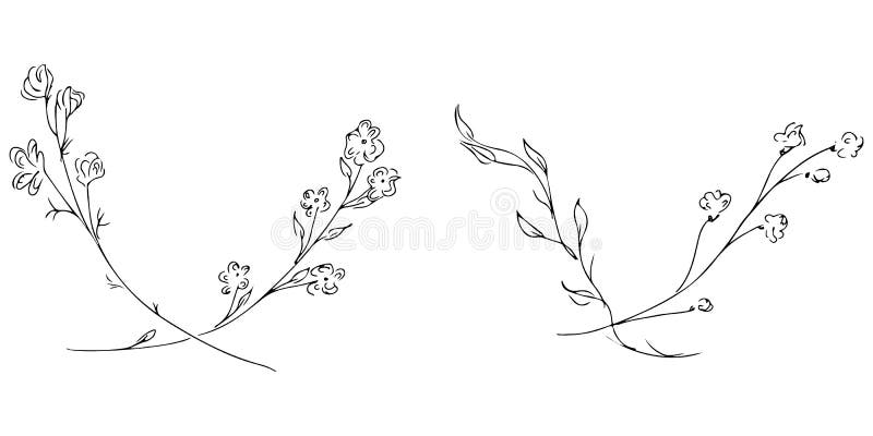 Ilustracoes Do Vetor Flores Florais Folhas E Ramos Do Grupo Ilustracao Do Vetor Ilustracao De Florais Ilustracoes 93478594