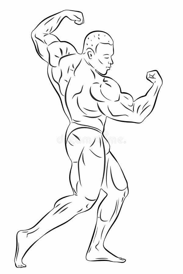 Ilustración Del Dibujo Vectorial Del Constructor De Cuerpos Ilustración del  Vector - Ilustración de drenaje, contorno: 203813956