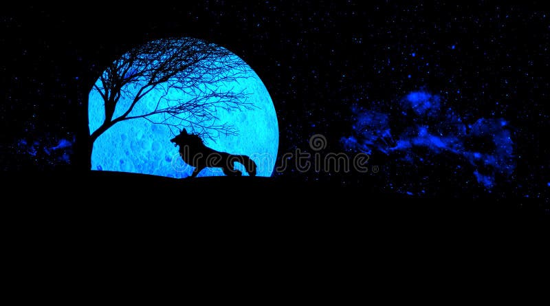 Ilustración Del Lobo Aullando Durante Luna Llena Noche Luna Azul Foto de  archivo - Imagen de resplandor, completo: 212963910